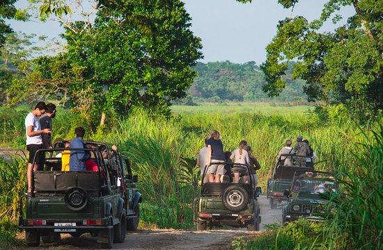 Jeep Safari